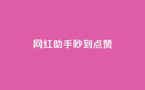 网红助手秒到点赞,dy低价业务平台 - 快手100个粉丝快速获得方法 自助业务商城dy  第1张