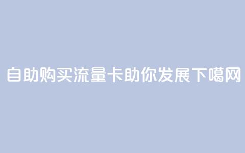自助购买流量卡助你发展  第1张 自助购买流量卡助你发展  第1张