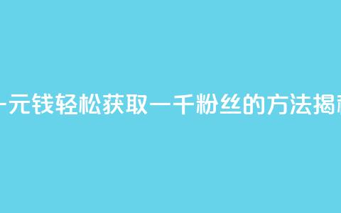一元钱轻松获取一千粉丝的方法揭秘  第1张 一元钱轻松获取一千粉丝的方法揭秘  第1张