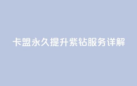卡盟永久提升紫钻服务详解  第1张 卡盟永久提升紫钻服务详解  第1张
