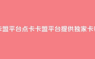 点卡卡盟平台(点卡卡盟平台:提供独家卡密服务)