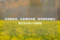 抖音刷粉丝,抖音刷粉攻略,高效吸粉秘籍分享亿乐社区SUP货源站