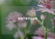 自助下单平台业务