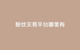 粉丝交易平台哪里有 - 哪里可以找到粉丝交易平台!