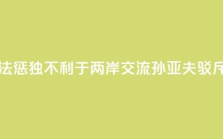 大陆依法惩“独”不利于两岸交流?孙亚夫驳斥