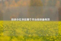 投诉小红书在哪个平台投诉最有效