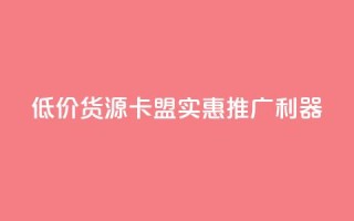 低价货源卡盟,实惠推广利器