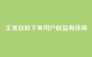 王者自助下单,用户权益有保障