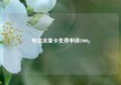 电信流量卡免费申请1000g