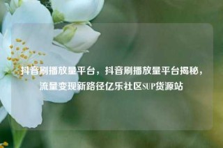 抖音刷播放量平台，抖音刷播放量平台揭秘，流量变现新路径亿乐社区SUP货源站