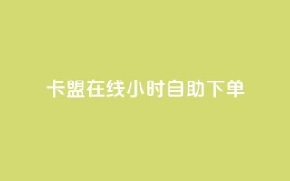 卡盟在线24小时自助下单 - 卡盟自助下单:轻松24小时在线操作!
