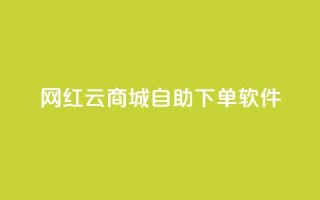 网红云商城自助下单软件,王者荣耀快手账号买卖 - 卡盟24小时自动发卡平台 - 抖音如何买500点赞量