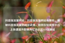 抖音涨流量网站,抖音涨流量网站有哪些,揭秘抖音涨流量的秘密武器,如何在短视频平台上快速提升影响力亿乐社区SUP货源站