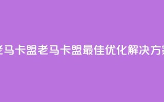 老马卡盟(老马卡盟:最佳SEO优化解决方案)