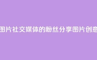 粉丝图片(社交媒体的粉丝分享图片创意标题)