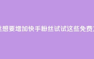 快手免费粉丝 - 想要增加快手粉丝?试试这些免费方法吧!。