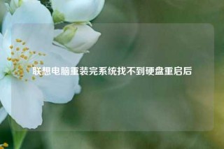 联想电脑重装完系统找不到硬盘重启后