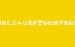 粉丝社交平台:发现更多粉丝的新途径