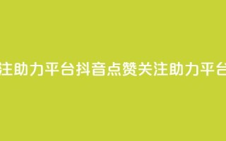 抖音点赞关注助力平台(抖音点赞关注助力平台:提升影响力)