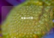流量卡办理