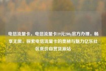 电信流量卡,电信流量卡19元200g官方办理,畅享无限,探索电信流量卡的奥秘与魅力亿乐社区低价自营货源站