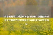 抖音刷粉丝,抖音刷粉技巧揭秘,快速提升账号关注量的方法与策略亿乐社区低价自营货源站