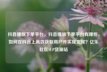 抖音播放下单平台,抖音播放下单平台有哪些,如何在抖音上高效获取用户并实现变现?亿乐社区SUP货源站