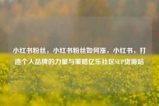 小红书粉丝，小红书粉丝如何涨，小红书，打造个人品牌的力量与策略亿乐社区SUP货源站