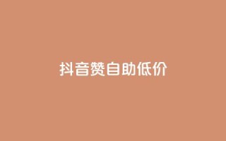 抖音赞自助低价 - 低价抖音赞自助推广,让您的视频赞数翻倍!