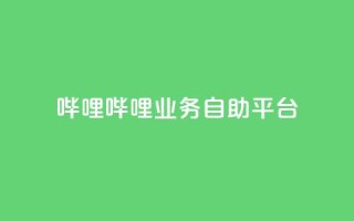 哔哩哔哩业务自助平台 - 哔哩哔哩自助平台:优化您的业务经营!