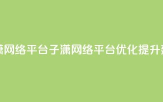 子潇网络平台(子潇网络平台优化提升建议)