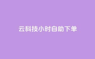 12云科技24小时自助下单 - 12云科技:让您24小时随心下单!