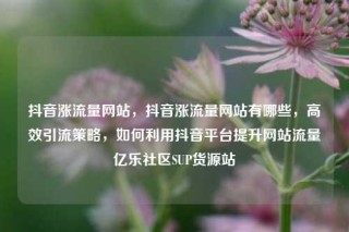抖音涨流量网站，抖音涨流量网站有哪些，高效引流策略，如何利用抖音平台提升网站流量亿乐社区SUP货源站