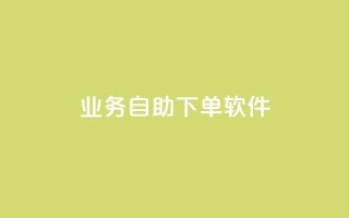 dy业务自助下单软件 - 智能自助下单软件助力DY业务高效运营!