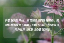 抖音涨流量网站,抖音涨流量网站有哪些,揭秘抖音流量增长秘籍,如何在抖音上快速吸引用户亿乐社区低价自营货源站