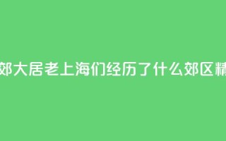 生活在市郊大居,“老上海”们经历了什么?_郊区精细化治理③