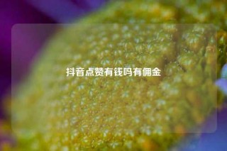 抖音点赞有钱吗有佣金