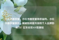 小红书播放量,小红书播放量有收益吗,小红书播放量飙升,揭秘如何提升你的个人品牌影响力!亿乐社区SUP货源站