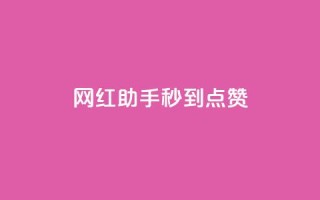 网红助手秒到点赞,dy低价业务平台 - 快手100个粉丝快速获得方法 - 自助业务商城dy
