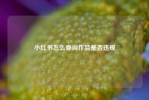 小红书怎么查询作品是否违规