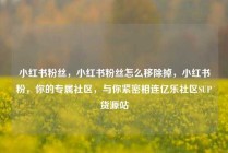 小红书粉丝,小红书粉丝怎么移除掉,小红书粉,你的专属社区,与你紧密相连亿乐社区SUP货源站
