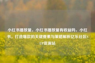 小红书播放量，小红书播放量有收益吗，小红书，打造爆款的关键要素与策略解析亿乐社区SUP货源站