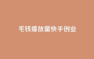 1毛钱10000播放量快手创业 - 如何用1毛钱实现10000快手播放量,新手创业必看!~