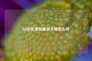 360社区系统重装大师怎么样