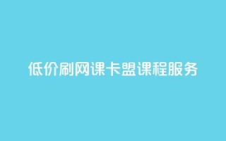 低价刷网课,卡盟课程服务