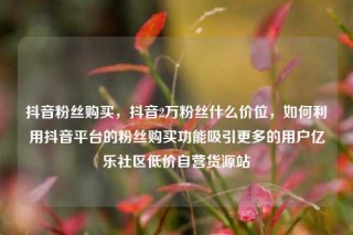 抖音粉丝购买，抖音2万粉丝什么价位，如何利用抖音平台的粉丝购买功能吸引更多的用户亿乐社区低价自营货源站