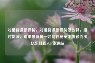对接货源最低价，对接货源最低价怎么算，接对货源，追求最低价—如何在竞争中脱颖而出亿乐社区SUP货源站