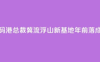 香港数码港总裁:冀流浮山新基地2030年前落成