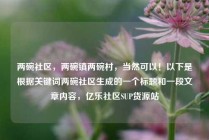 两碗社区,两碗镇两碗村,当然可以!以下是根据关键词两碗社区生成的一个标题和一段文章内容,亿乐社区SUP货源站