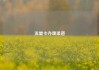 流量卡办理渠道